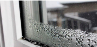 KUĆA VAM SMRDI NA VLAGU, ZIDOVI SE CRNE?? EVO kako da se REŠITE ove NAPASTI, kao da je nikad nije bilo!