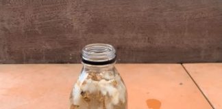 Stavite 1 komad ispod orhideje! Odjednom izraste 100 grana i cvjeta cijele godine