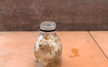 Stavite 1 komad ispod orhideje! Odjednom izraste 100 grana i cvjeta cijele godine