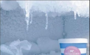 AKO VAM SE LED NAKUPLJA U ZAMRZIVAČU, SAMO UBACITE OVU NAMIRNICU: Nestaće kao rukom odnešen