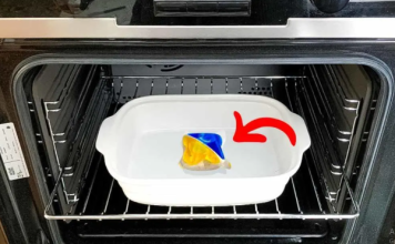 Trik za čišćenje vaše pećnice “BEZ MUKA”. Čak će i sagorjela mast nestati!