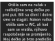 “Otišla sam na ručak s roditeljima svog dečka po prvi put…”