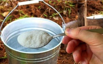 1 kašika po kanti vode i zemlja je kao nova: ZALIJTE BAŠTU NJOME ZA BOGATU ŽETVU SVEGA!