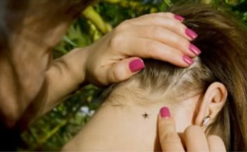 KRPELJI VREBAJU IZ TRAVE: Počinje im sezona, ako ih ne uklonite na vrijeme, u problemu ste, ovo su simptomi