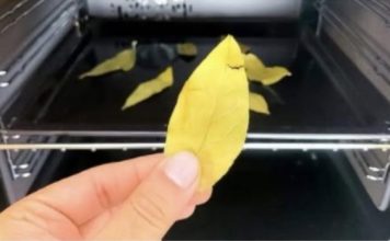 Stavite običan list LOVORA u rernu i uključite na 20 minuta: ZA OVO SVI TREBA DA ZNAJU