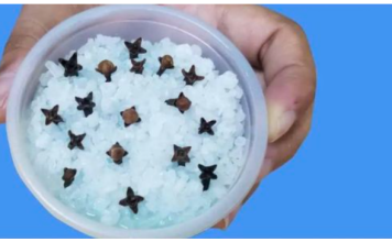 Kupatilo moje svekrve uvek lepo miriše, samo otvori vrata: 0V0 JE NJENA TAJNA!