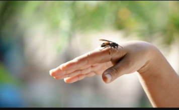 UBOD STRŠLJENA MOŽE BITI SMRTONOSAN: Evo kako da spasite život sebi ili nekom drugom, važno je reagovati odmah