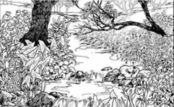 Mnogi su probali, ali nisu uspeli: Svako ko pronađe ženu na fotografiji ima natprosečnu inteligenciju