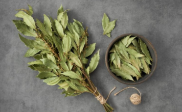 Stavite običan list LOVORA u rernu i uključite na 20 minuta: ZA OVO SVI TREBA DA ZNAJU