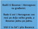 VIC: Bosanac i Hercegovac