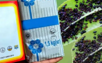 Pomiješajte sodu bikarbonu sa običnom soli: Lisne uši će izbjegavati vašu baštu na sve strane!
