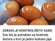ZDRAVLJE KONTROLIŠETE SAMI: Sve što je potrebno za kontrolu šećera u krvi je jedno kuhano jaje