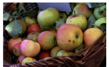 DETOKS ORGANIZMA I KRVI JEDNOM MJESEČNO: Zašto je potrebno i na koji način ga izvesti