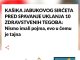 KAŠIKA JABUKOVOG SIRĆETA PRED SPAVANJE UKLANJA 10 ZDRAVSTVENIH TEGOBA: Nismo imali pojma, evo u čemu je tajna