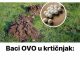 Baci OVO u krtičnjak: Krtice više neće ulaziti u tvoj vrt