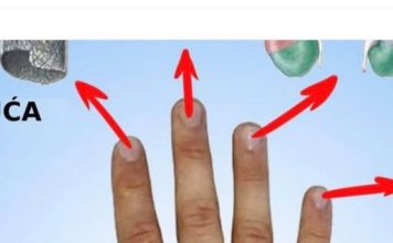 Ova japanska metoda će izlečiti svaku bolest za 5 minuta, a evo i kako