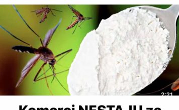 Komarci NESTAJU za samo 1 minutu zauvijek! Najbolji besplatni organski recept!