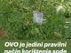 OVO je jedini pravilni način korištenja sode bb u zaštiti povrća od vrućina
