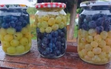 Recept koji je izazvao ludilo kod svih je način čuvanja grožđa u staklenkama za zimnicu