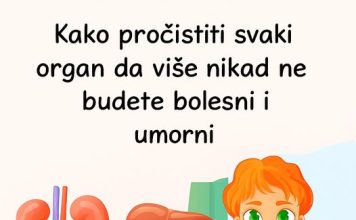 Kako detoksicirati svaki organ da se više nikada ne osjećate bolesno ili umorno!