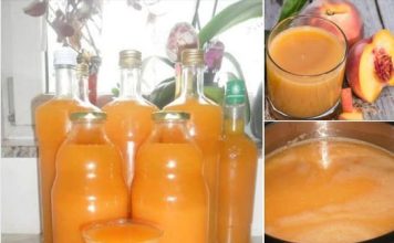 DOMAĆI SOK OD BRESKVI BEZ KONZERVANSA ISPROBAM MNOGO PUTA