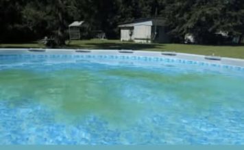 Recite ovo svima koji imaju bazen: Ovo čudo će ga očistiti bez hemikalija – može se nositi čak i sa mutnom vodom!