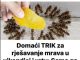 Domaći trik za rješavanje mrava u šupi i vrtu: Stavila sam ga na zemlju i sutradan nije bilo mrava!