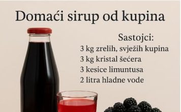 Domaći sirup od kupina – Okus djetinjstva u svakoj kapi