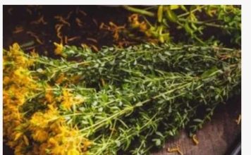 Ne zaboravite da sljedeće biljke mogu pobijediti anksioznost, strah i stres