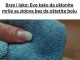 Brzo i lako: Evo kako da uklonite mrlje sa zidova bez da oštetite boju