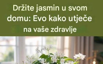 Držite jasmin u svom domu: Evo kako utiče na vaše zdravlje