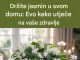 Držite jasmin u svom domu: Evo kako utiče na vaše zdravlje