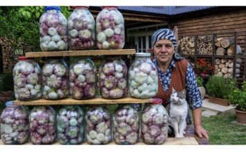 Češnjak za zimnice bez konzervansa