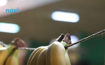 UTIČE I NA SAN: Evo šta će se desiti ukoliko budete svaki dan jeli banane