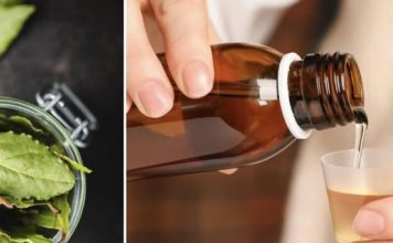 Za samo 3 dana ovaj list može temeljno očistiti Vaša pluća – Lovorov list protiv kašlja za jak imunitet (recept)