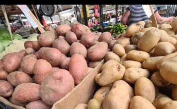 STRUČNJACI OTKRILI DA LI JE BOLJI CRVENI ILI BIJELI KROMPIR: Razlika je velika, a OVAJ je zdraviji