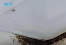 Vlaga i plijesan nestaju kao rukom odnešene! Otkrijte savjete koji zlata vrijede