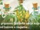 Recept za pripremu ljekovite rakije koja pomaže kod bolova u nogama…