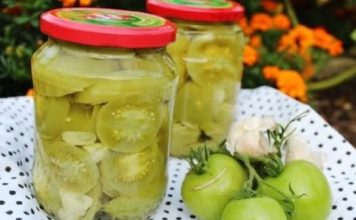 ZELENI PARADAJZ U TEGLI ZA ZIMNICU
