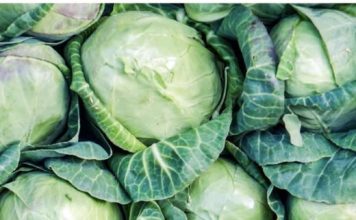 KAKO izabrati najbolji kupus za kiseljenje i prepoznati KOJI je PUN HEMIJE: OBRATITE PAŽNJU NA OVO