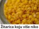Žitarica koju više niko neće da jede a veoma je zdrava: Čuva srce, jača kosti a odlična je i za probavu!