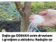 Dajte ga ODMAH svim drvećem i grmljem u oktobru: Radujte se velikoj žetvi sledeće godine!