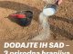 D0DAJTE IH SAD – 3 prirodna hranjiva koja popravljaju stanje tla u jesen!