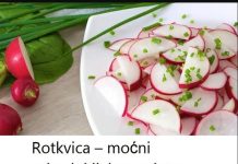Rotkvica – moćni prirodni ljekar za jetru, probavu i štitnu žlijezdu!