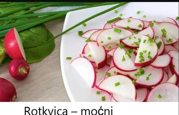 Rotkvica – moćni prirodni ljekar za jetru, probavu i štitnu žlijezdu!
