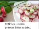 Rotkvica – moćni prirodni ljekar za jetru, probavu i štitnu žlijezdu!