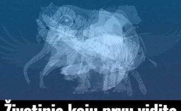 Životinja koju prvu vidite na slici otkrit će do gole kože vaš karakter: Jeste li spremni?