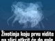 Životinja koju prvu vidite na slici otkrit će do gole kože vaš karakter: Jeste li spremni?