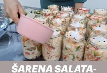 ŠARENA SALATA – bez konzervansa i vinobrana, već sutra se može jesti