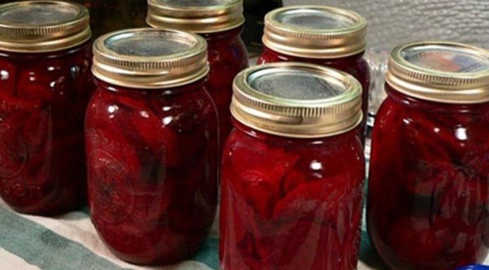 RECEPT ZA NAJZDRAVIJU ZIMNICU: Evo kako se kiseli cvekla da se sačuvaju svi vitamini